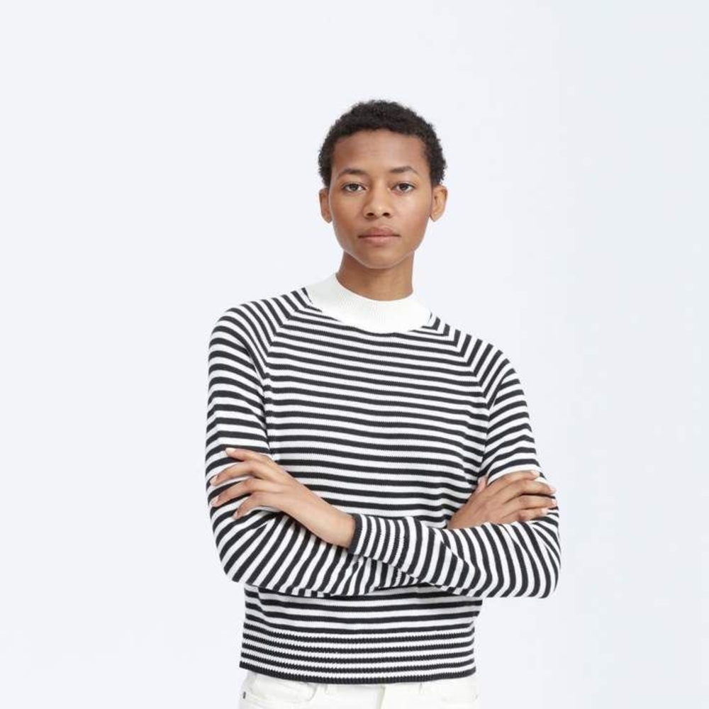 Everlane Striped Cotton Knit Mockneck Crop Sweater